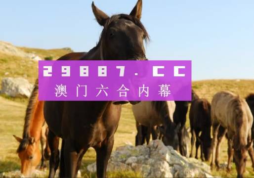 澳门和香港管家婆一肖一码一中一开;精选解析解释落实