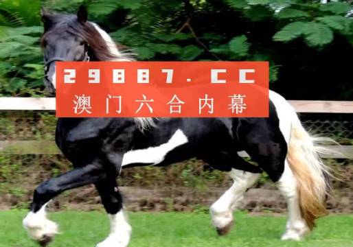 澳门和香港香港一肖一码一中一特免费公开;词语释义解释落实