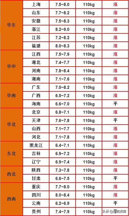 米易最新猪价动态分析