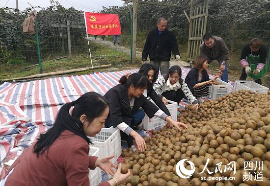 益民集团最新动态，创新引领，打造卓越企业新标杆