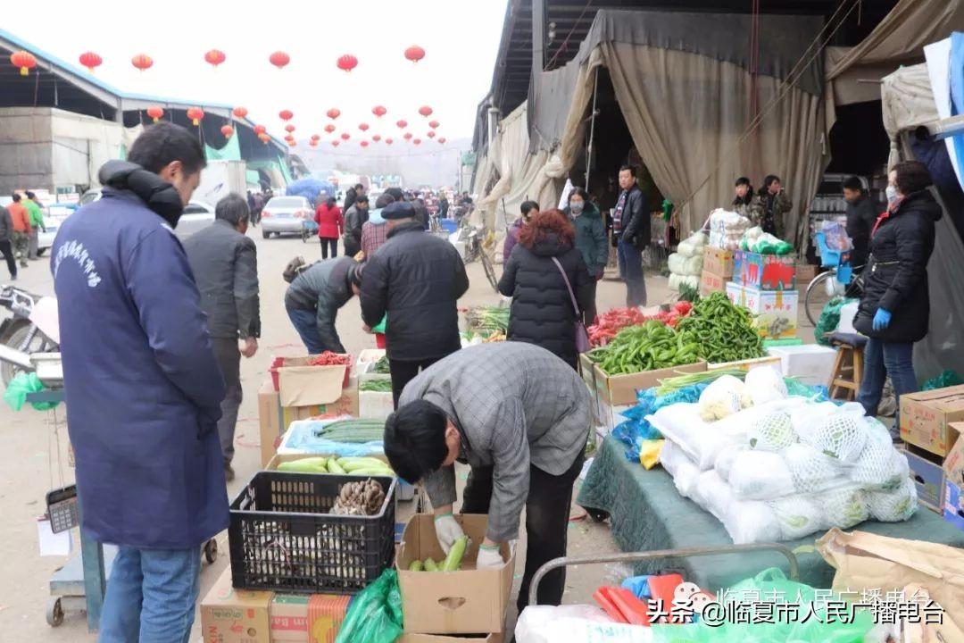 春节档电影最新动态，繁荣市场下的多元呈现与创新探索