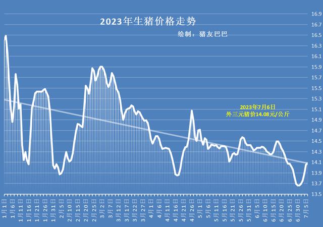 武平最新猪价动态分析