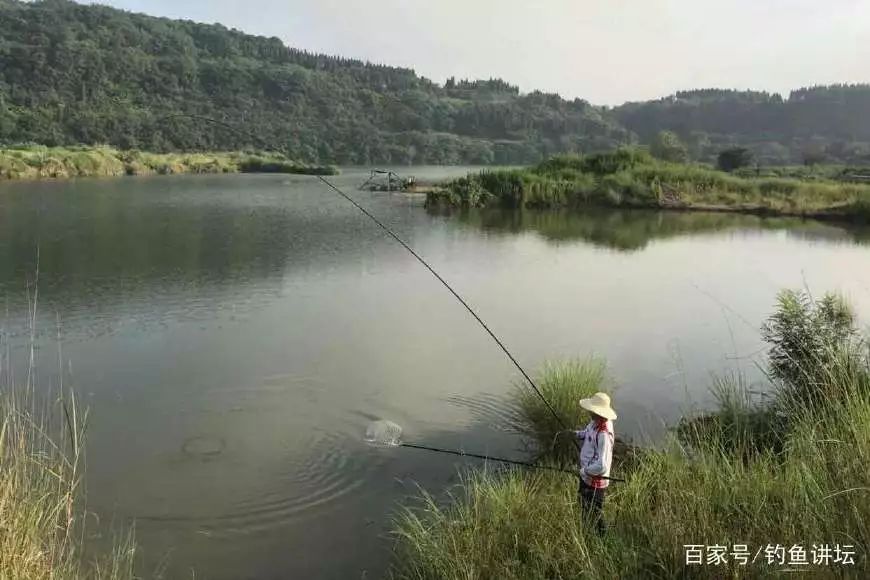 犍为最新野钓，探索自然渔趣的新领地