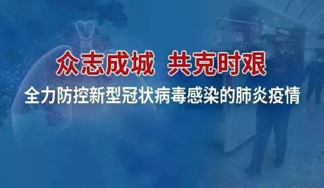 疫情最新文案，全球抗击疫情的新进展与挑战