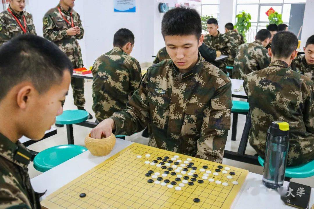 苏宁最新比赛动态，热血赛场上的拼搏与荣耀