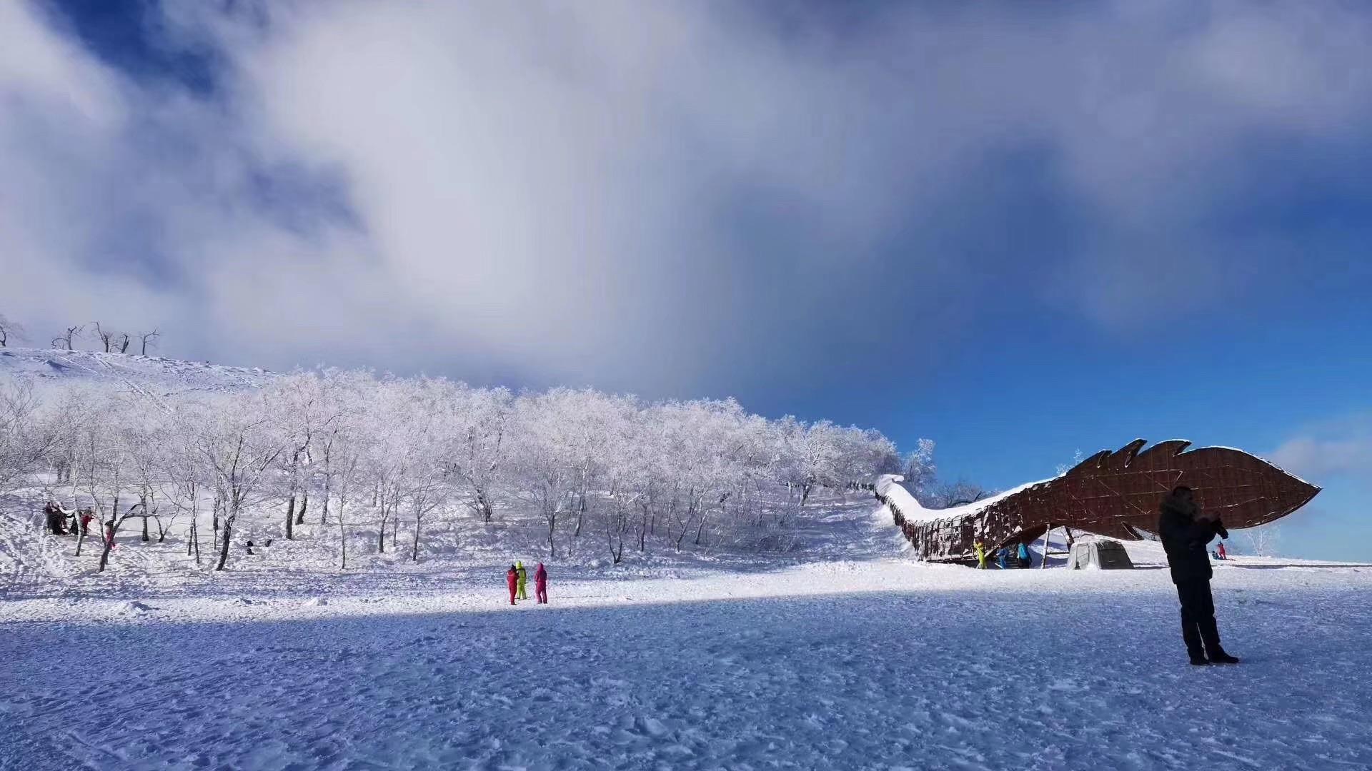 雪乡照片最新，自然之美的永恒记录