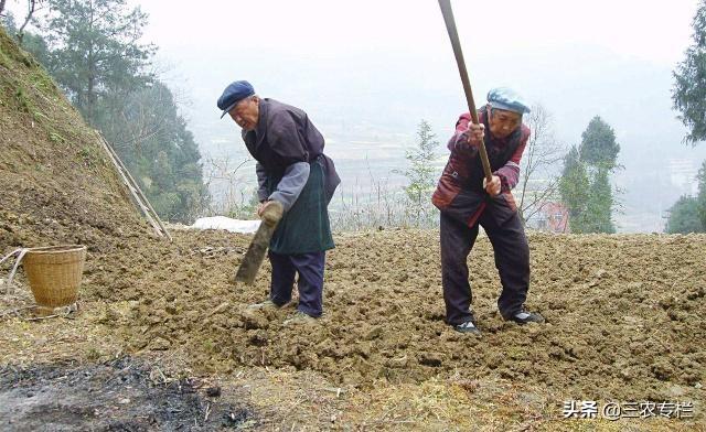 农家丑妻最新，平凡中的非凡魅力