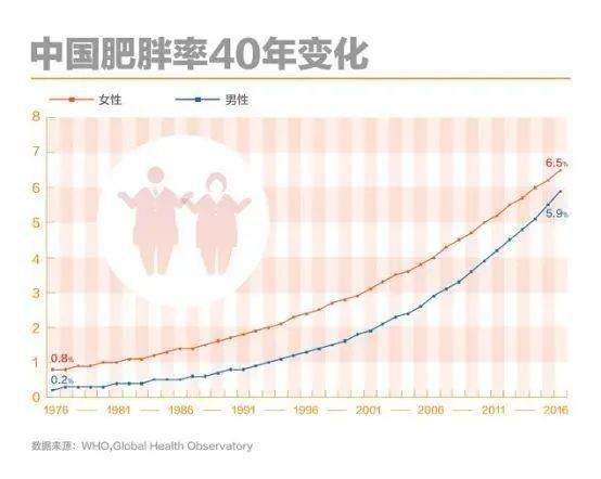 最新平均体重，全球趋势与健康挑战