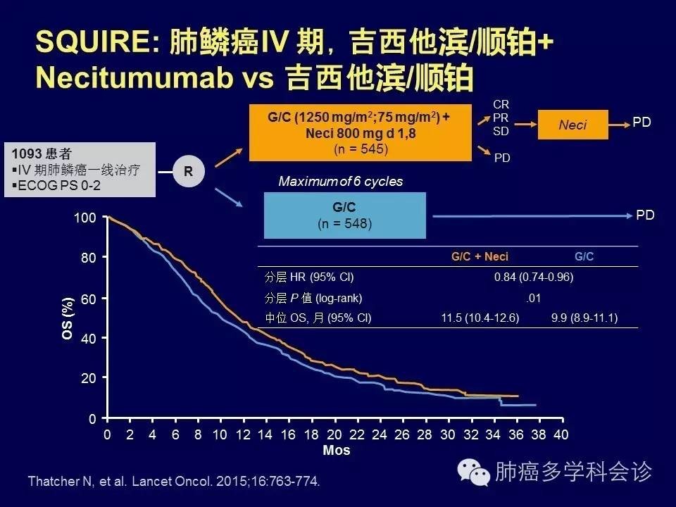 肺鳞癌最新药物治疗进展