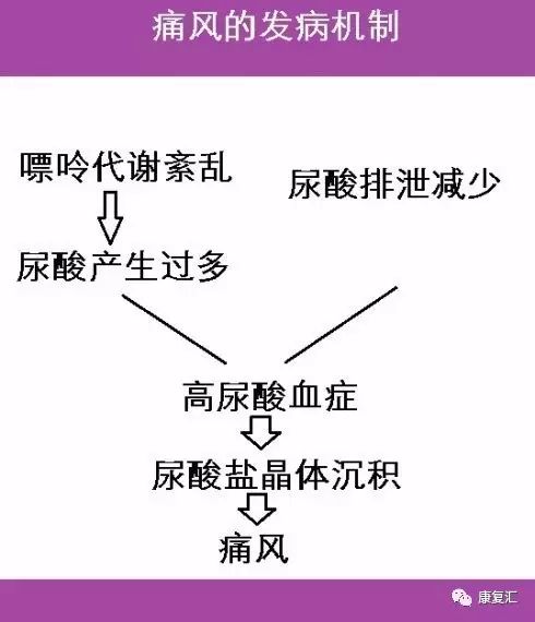 最新的痛风治疗策略与进展