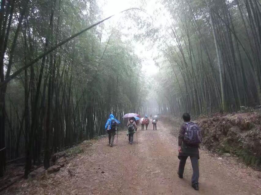 宁波周末活动最新动态