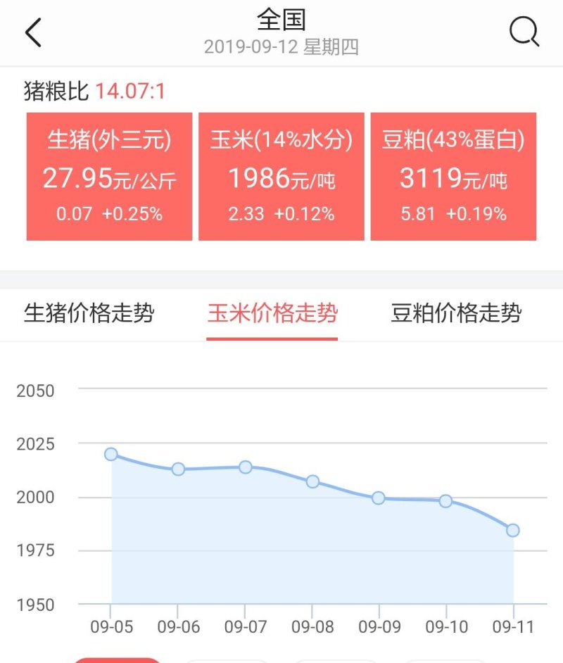 包谷价格最新行情分析