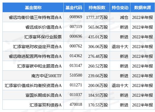 睿远基金最新净值报告，洞悉市场动态，展现长期价值投资魅力