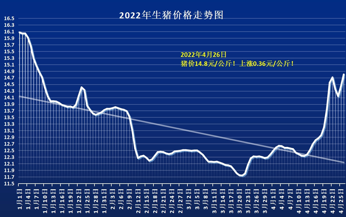 茌平最新猪价动态分析