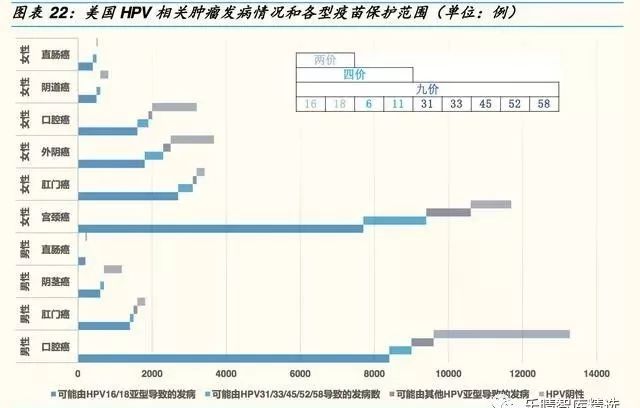 最新疫苗研究进展，突破与创新的力量