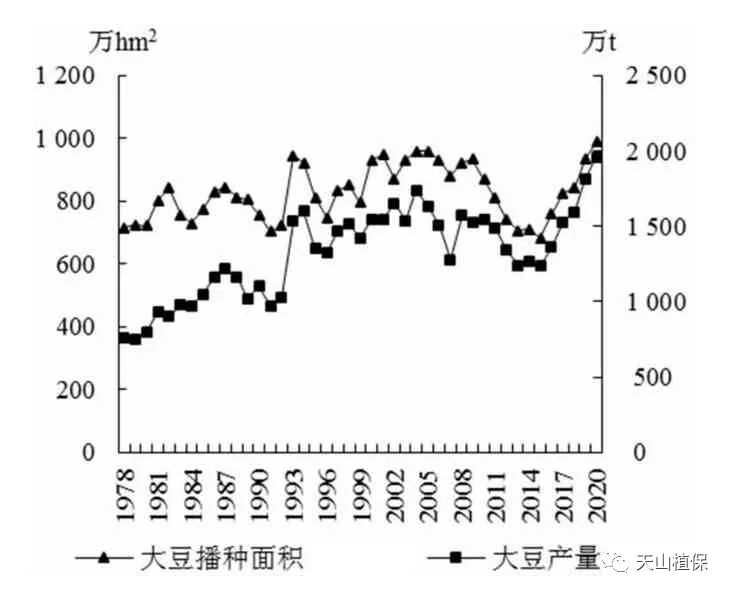 东北大豆最新动态，产业现状与发展前景展望