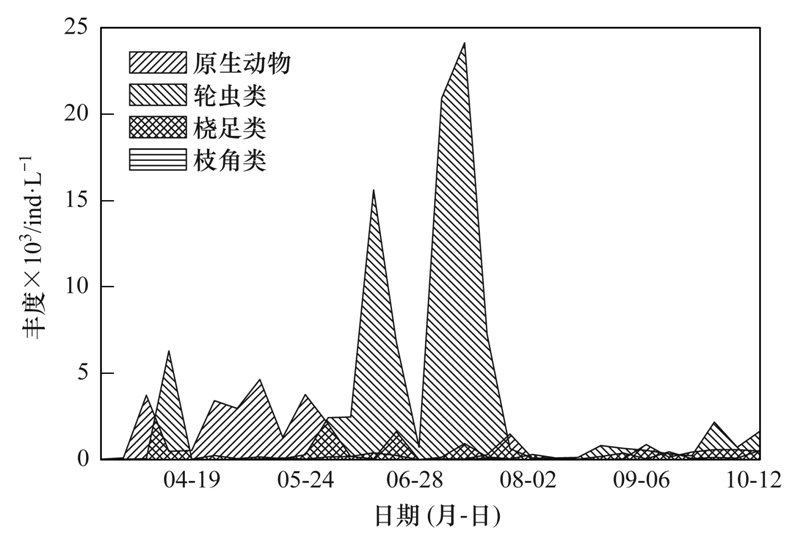 华阴最新房价动态及其影响因素